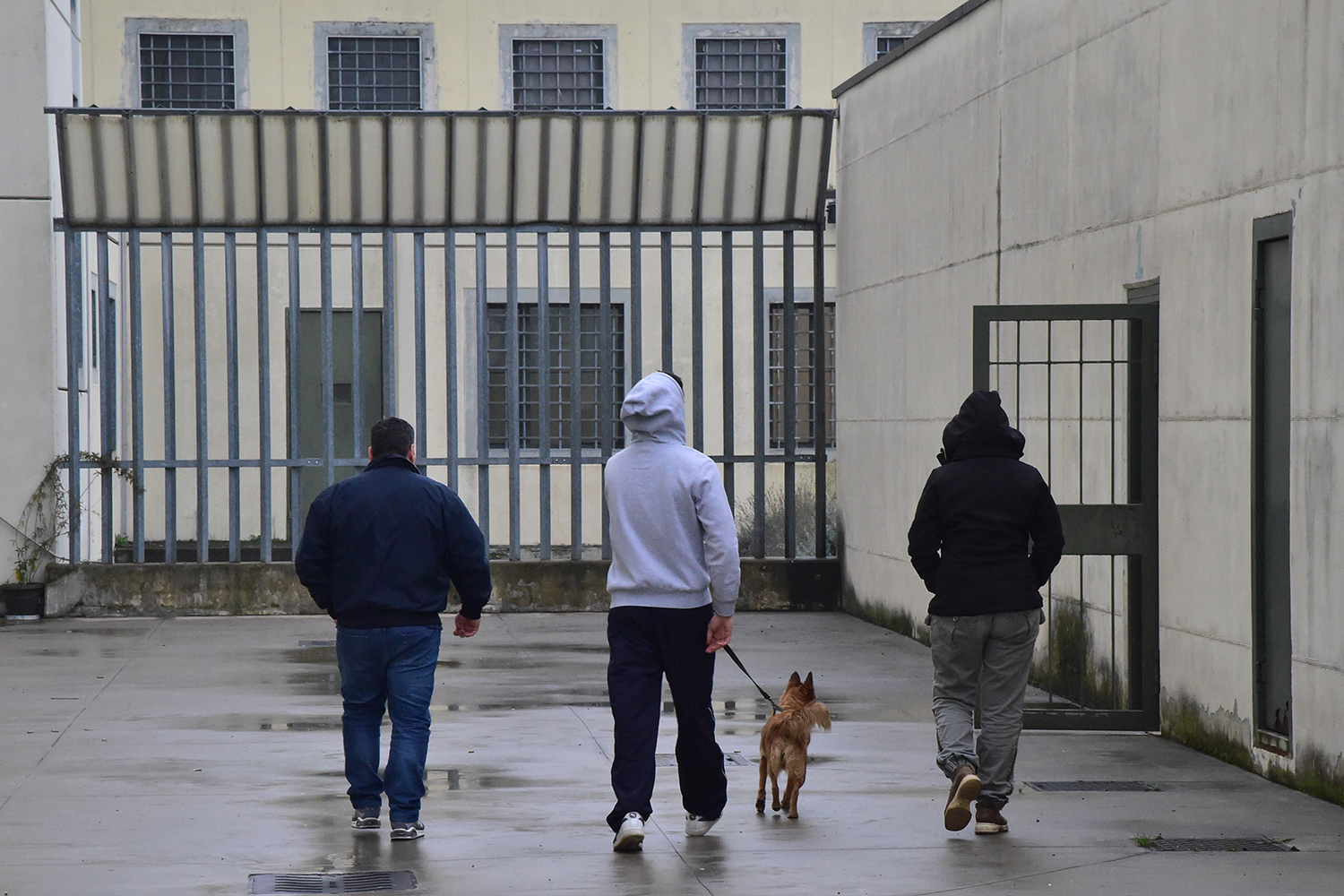 Terapia con perros en prision italiana