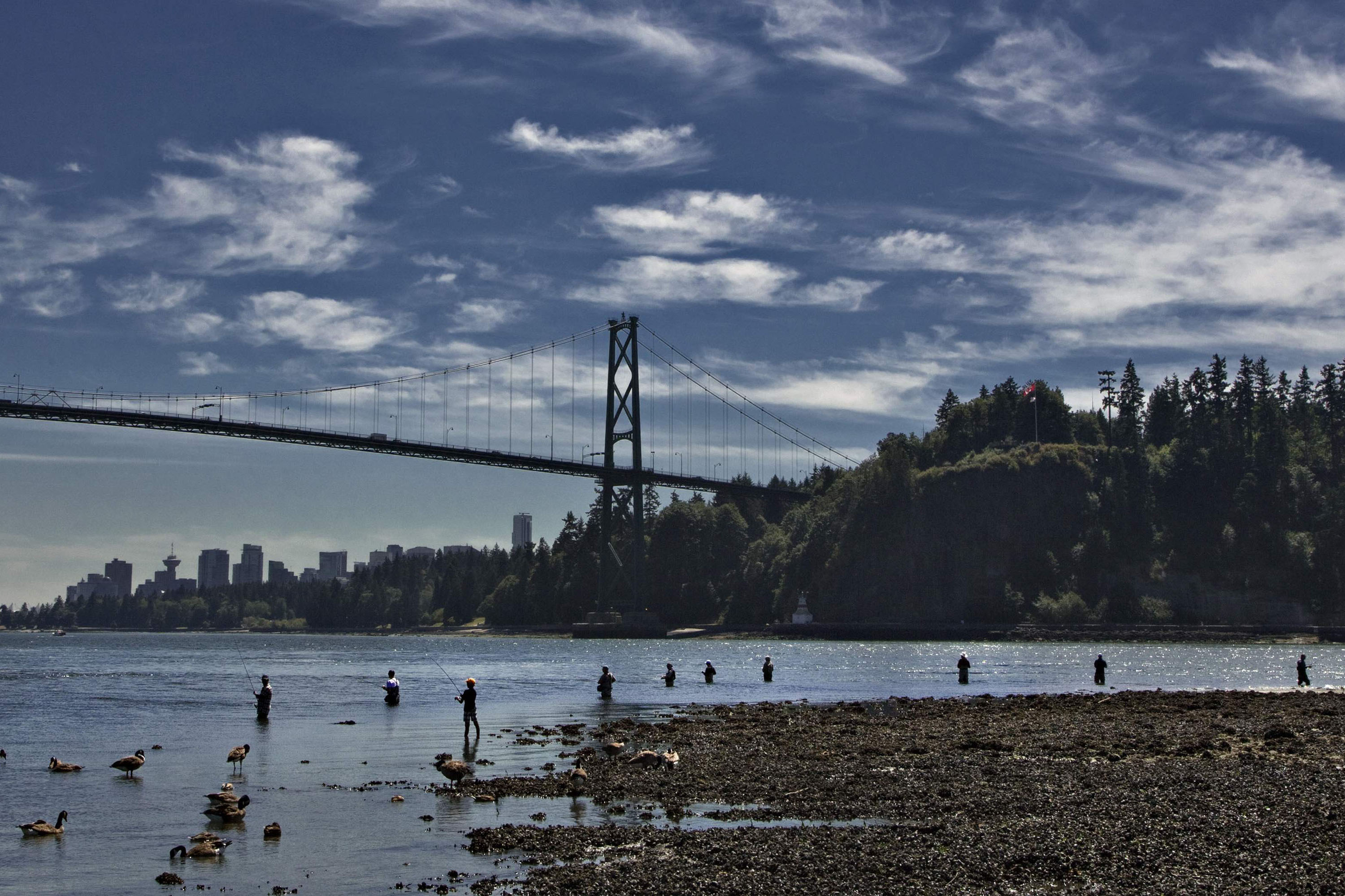 Decenas de pescadores se reúnen en un recodo de marea baja del río Capilano, al oeste de Vancouver,