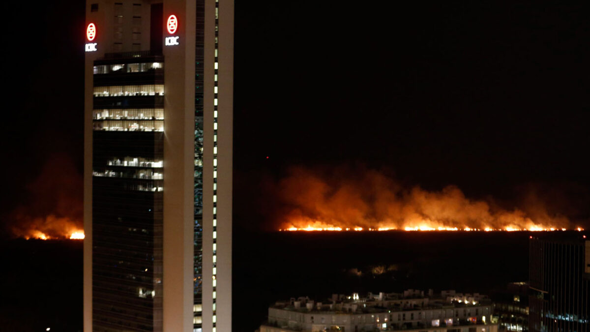 Argentina. Un incendio desatado ayer ha arrasado parte de la Reserva Ecológica de Buenos Aires antes