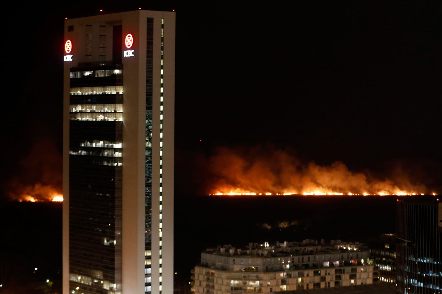 Argentina. Un incendio desatado ayer ha arrasado parte de la Reserva Ecológica de Buenos Aires antes