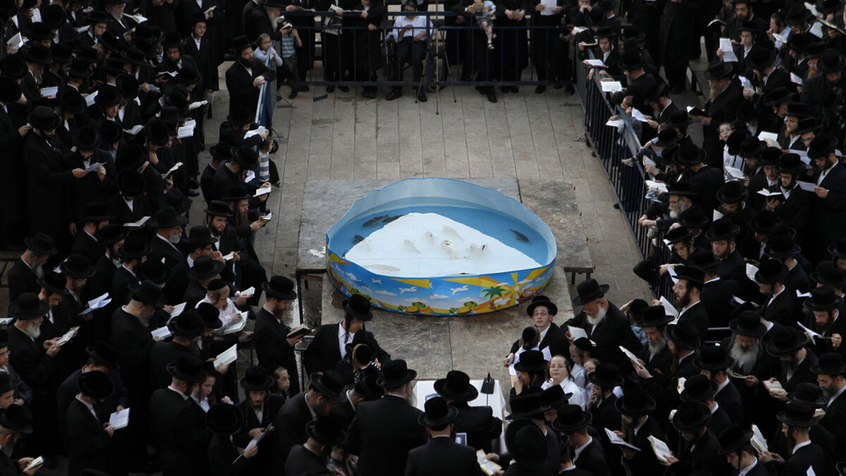 Especial Israel.Los seminaristas ortodoxos rezan el Tashlij por el Año Nuevo alrededor de una fuente