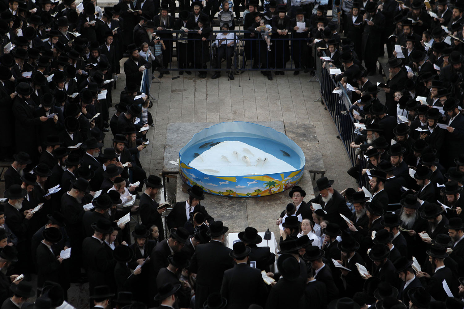 Especial Israel.Los seminaristas ortodoxos rezan el Tashlij por el Año Nuevo alrededor de una fuente