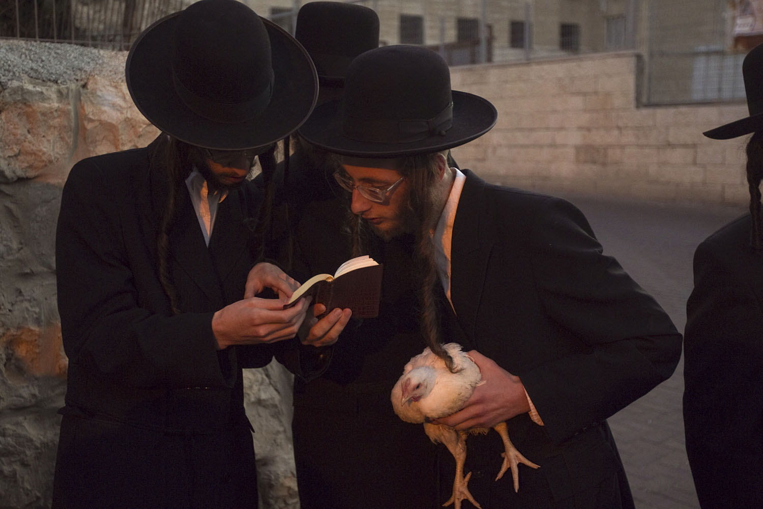 Especial Israel. Un grupo de judíos ortodoxos preparan las lecturas para el rito de kaparot
