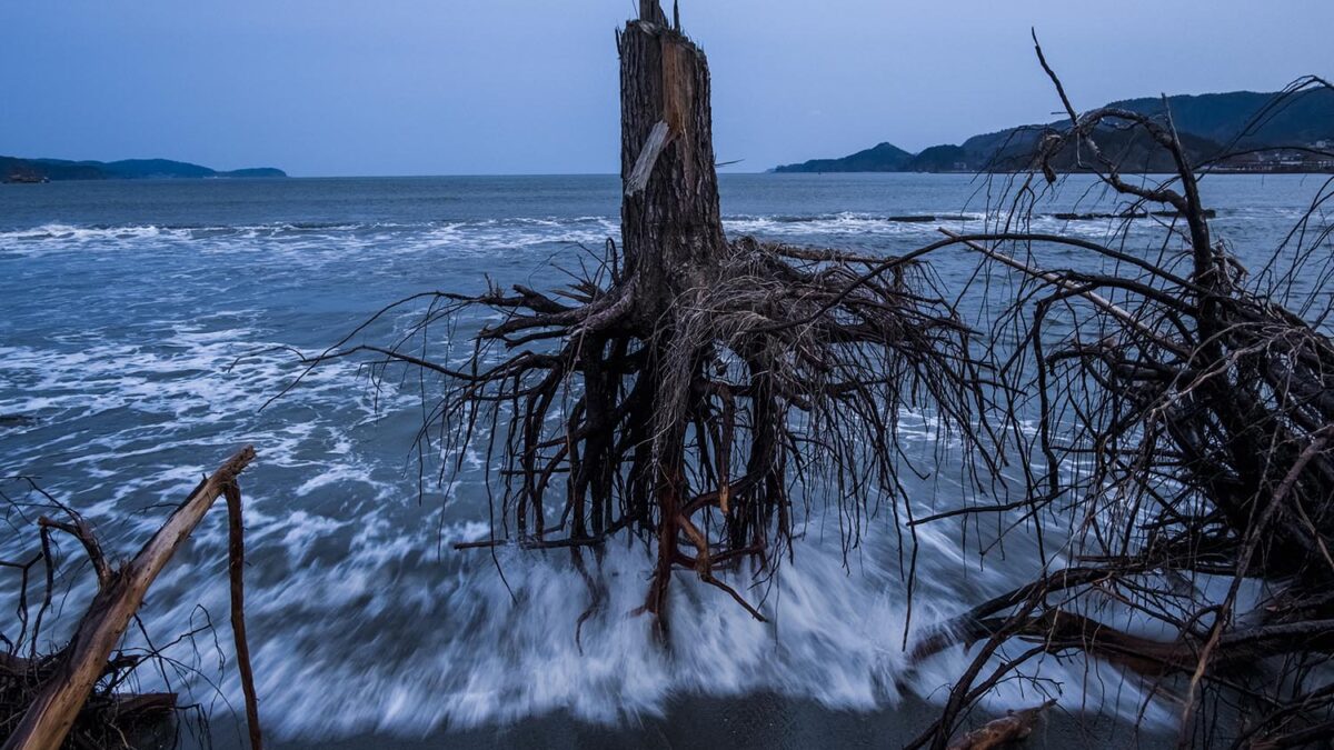 Especial World Press Photo. Tercer premio en la categoría Temas de Actualidad, de Daniel Berehulak