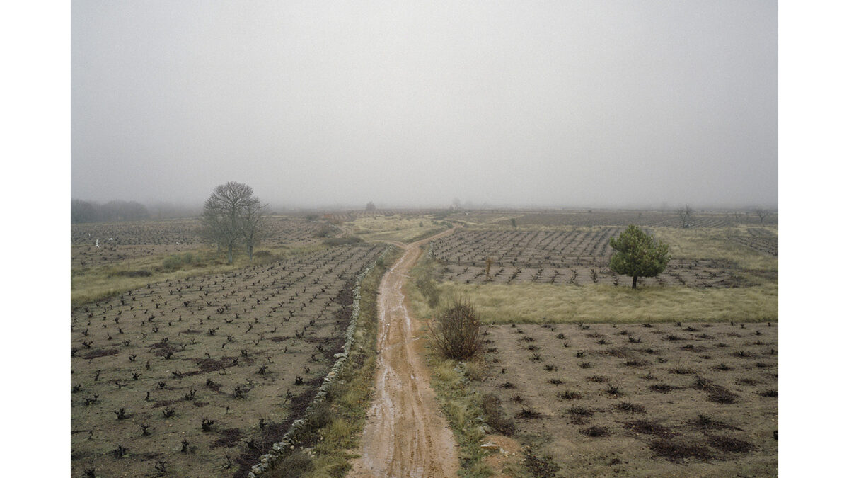 Especial Península. Las heladas que cayeron en 2009 en Zamora y en los alrededores del río Aliste