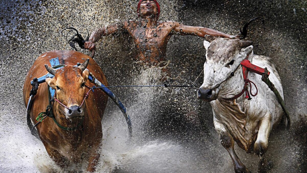 Especial World Press Photo. Primer premio en la categoría Deportes de Acción, de Wei Seng Chen