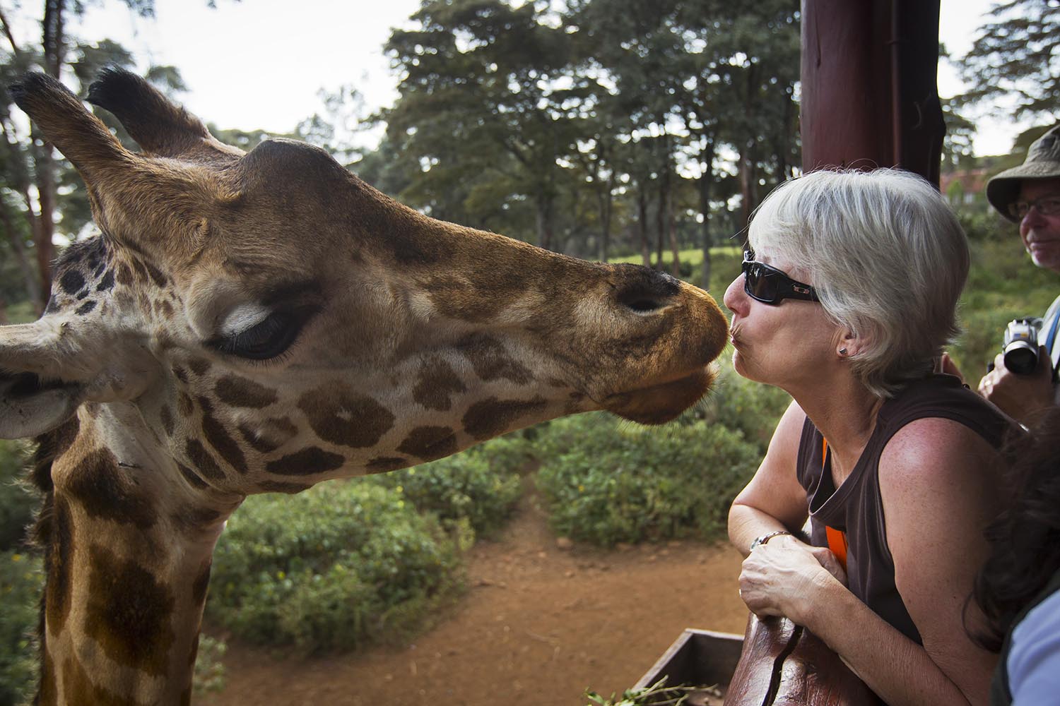 Especial Un mundo pequeño. Besando a una jirafa en el Centro de Jirafas de Nairobi, en Kenia