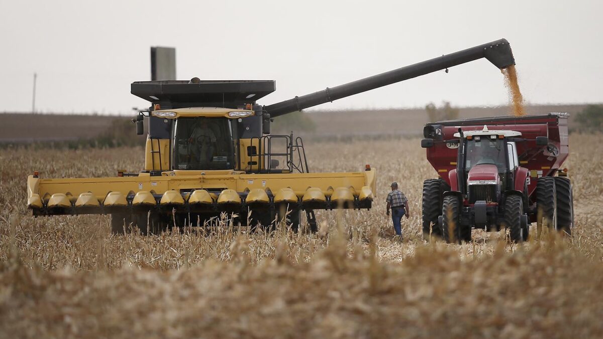 Los ingresos de los agricultores de EE UU caen una media de 14,6% en lo que va de año