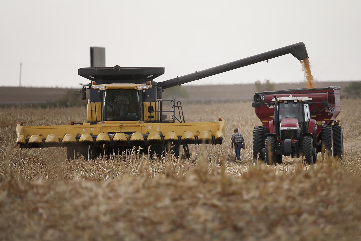 Los ingresos de los agricultores de EE UU caen una media de 14,6% en lo que va de año