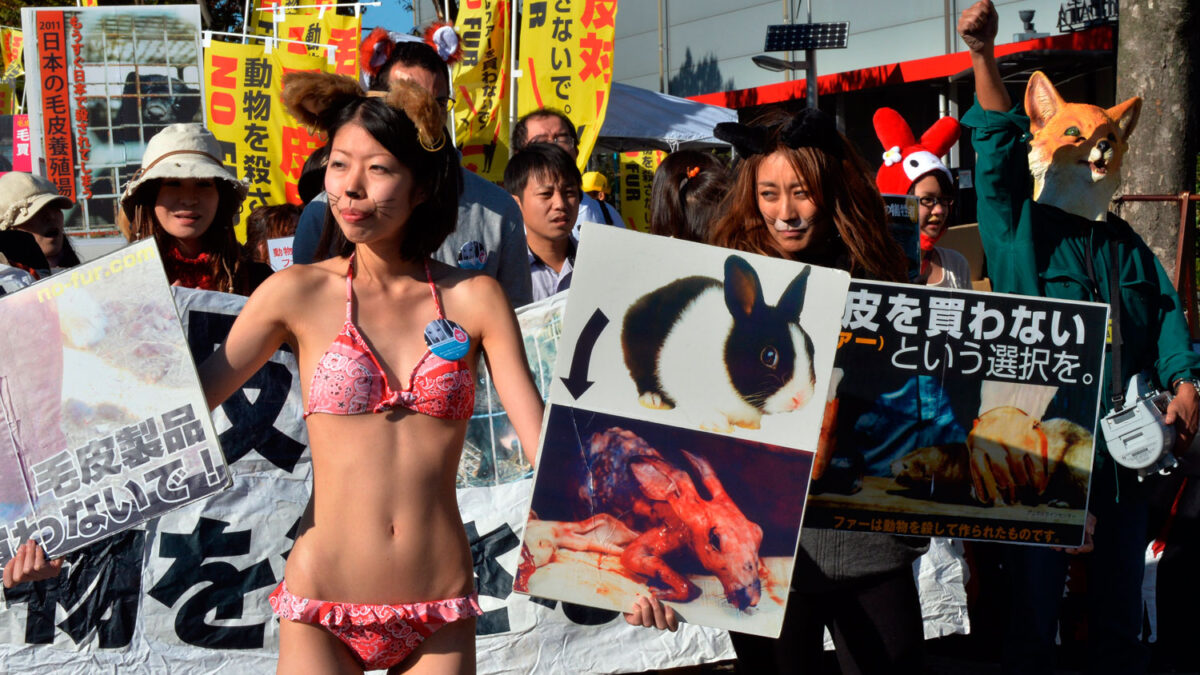 Cientos protestan en Tokio contra la fabricación de prendas de abrigo con pieles de animales