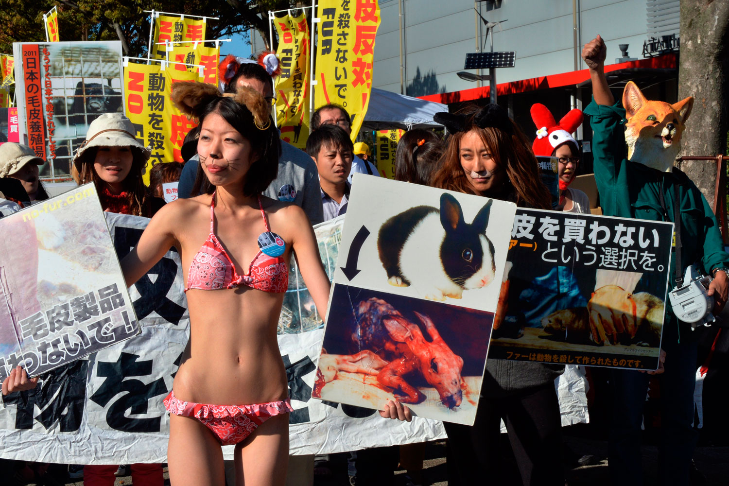 Cientos protestan en Tokio contra la fabricación de prendas de abrigo con pieles de animales