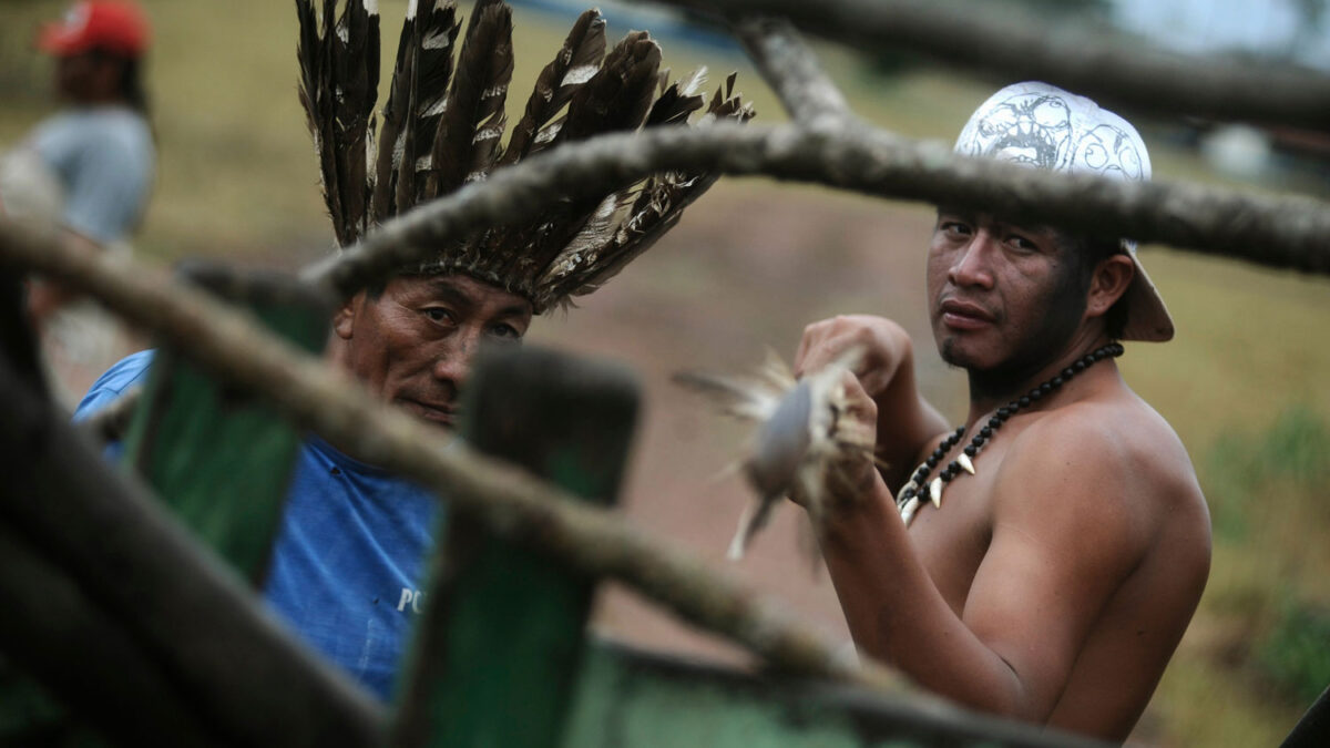 Un grupo de indígenas brasileños ‘ocupa’ un rancho en Mato Grosso do Sul