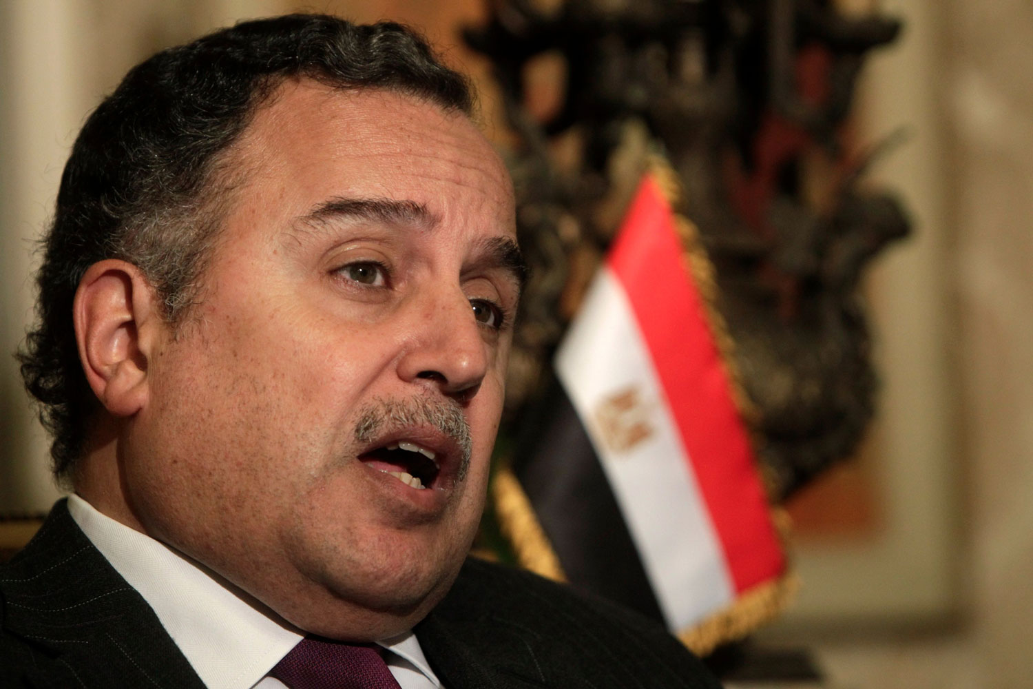 Egipto celebrará elecciones presidenciales "a principios del verano"