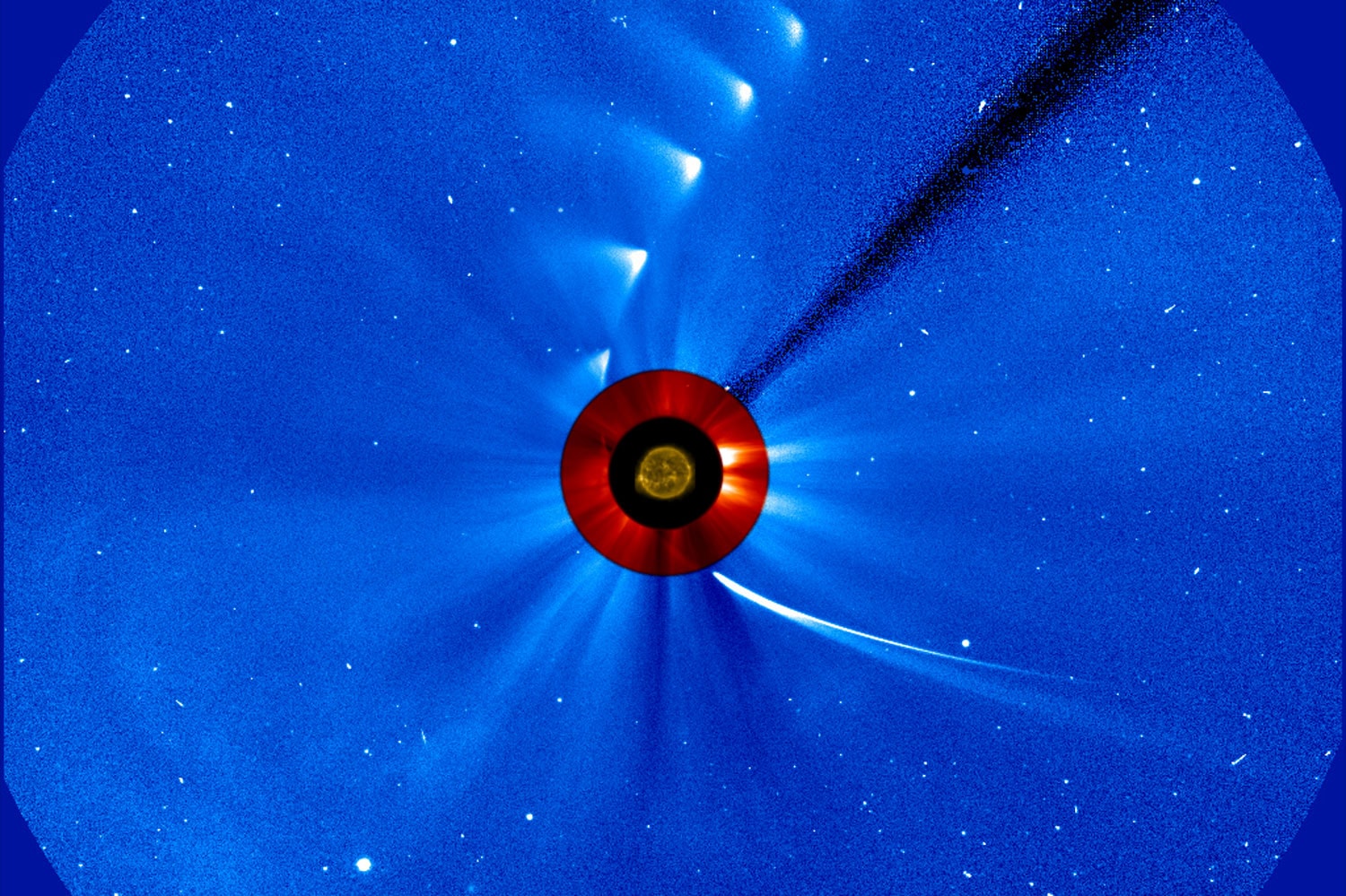 ISON ya es el cometa más observado: el 16 de enero sabremos definitivamente si ha sobrevivido al sol