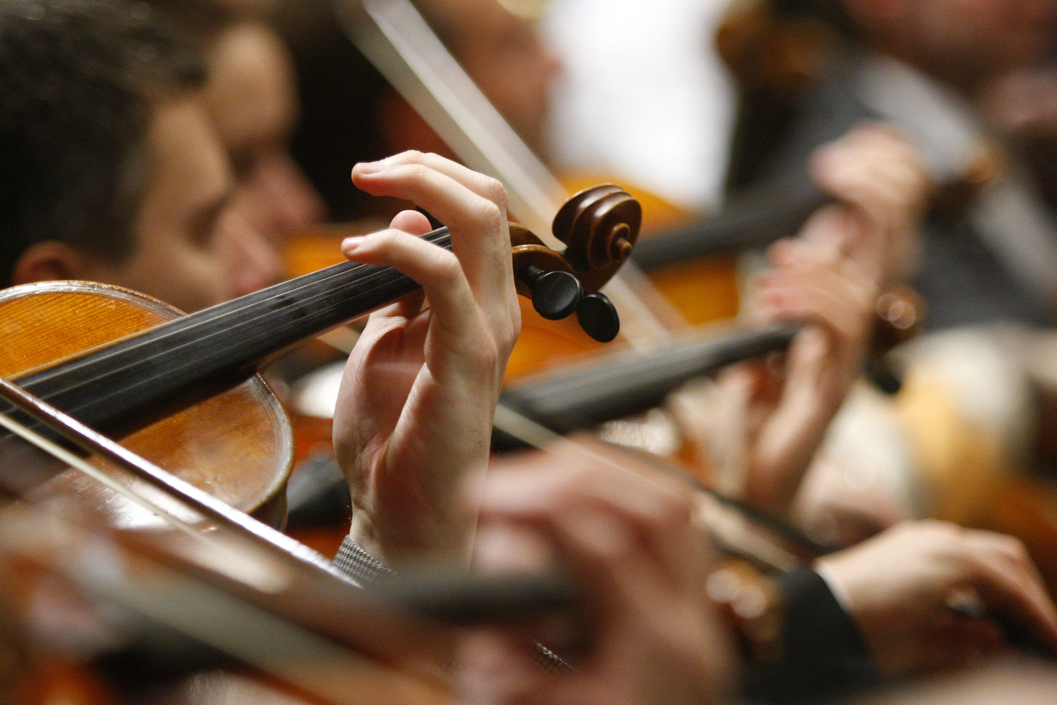 Éxito de críticas a Daniel Barenboim por su Concierto de Año Nuevo de Viena