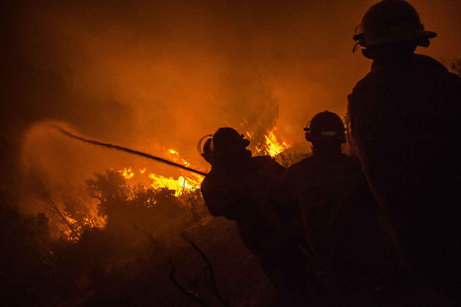 Decenas de incendios forestales azotan Chile