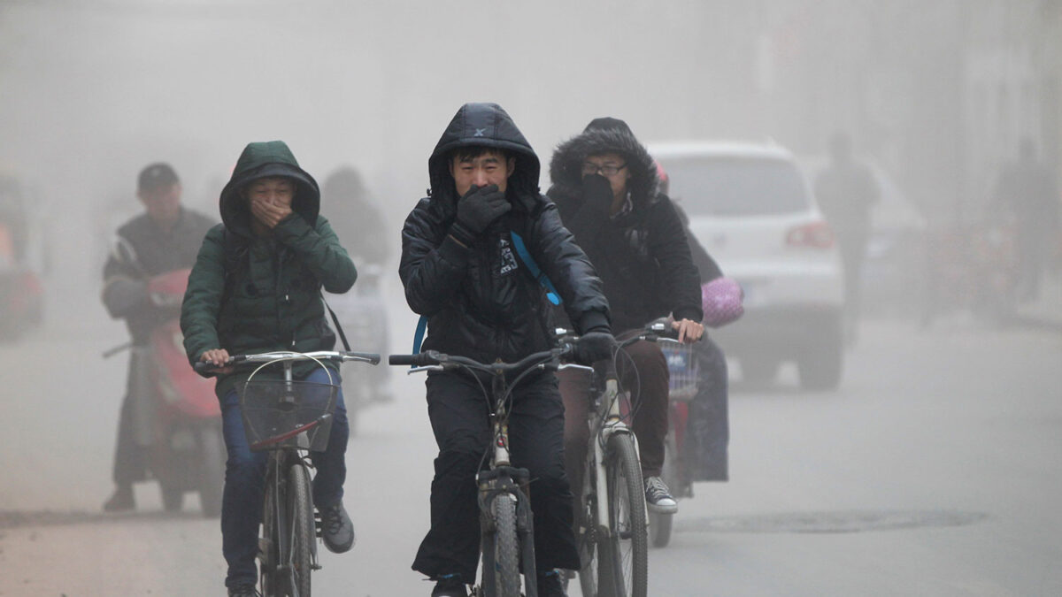 Los niveles de contaminación en Japón, 25 veces superiores a los recomendados por la  OMS