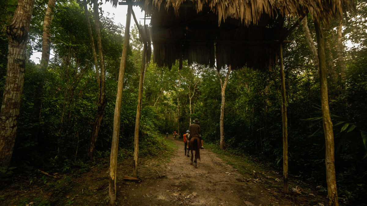 El Instituto Guatemalteco de Turismo abre las puertas de la Reserva de la Biosfera Maya al turismo