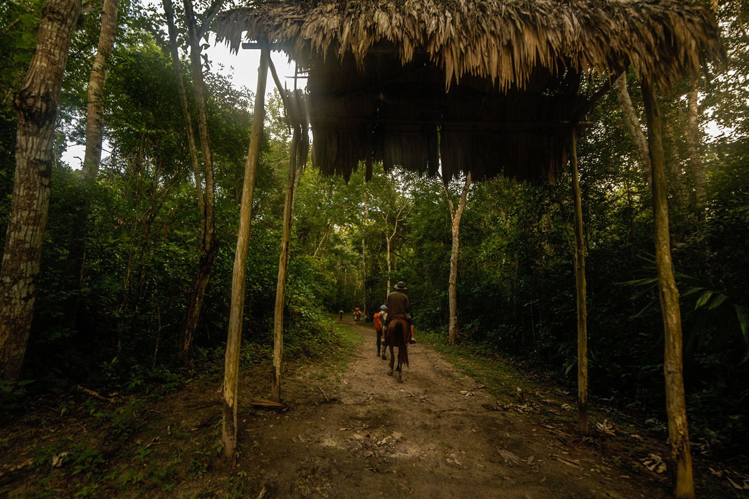 El Instituto Guatemalteco de Turismo abre las puertas de la Reserva de la Biosfera Maya al turismo