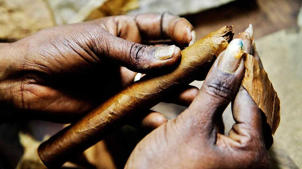 Habanos mantiene una tendencia ascendente en 2013 en más de 150 mercados internacionales