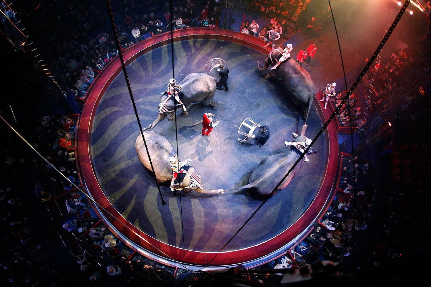 La familia del Circo Arlette Gruss celebra su 30º aniversario con el espectáculo "Historia"