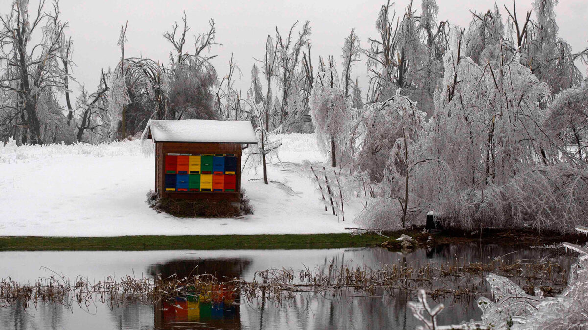 Eslovenia destinará 190 millones de euros a la reparación de los daños causados por la nieve