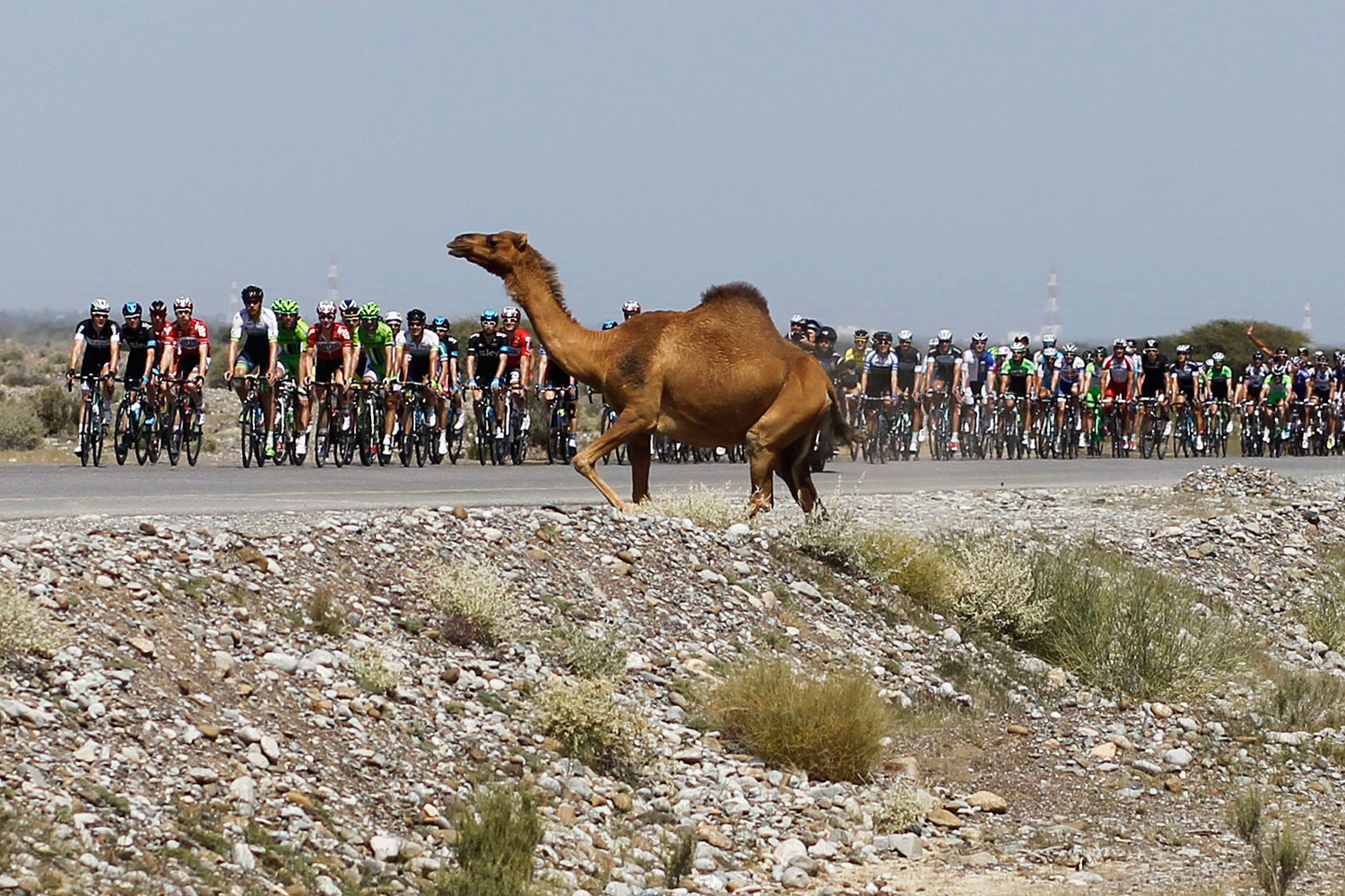 El ciclista alemán André Greipel (Lotto-Belisol) lidera el Tour de Omán