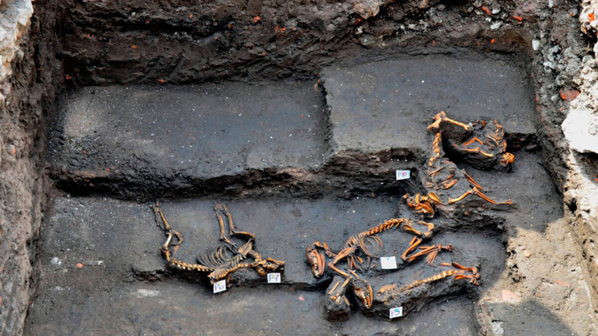 Descubren el cementerio canino más antiguo del mundo