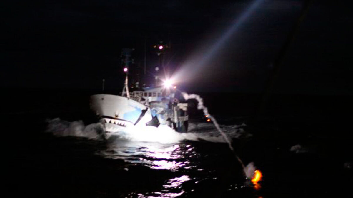 Sea Shepherd denuncia otro ataque de la flota ballenera japonesa