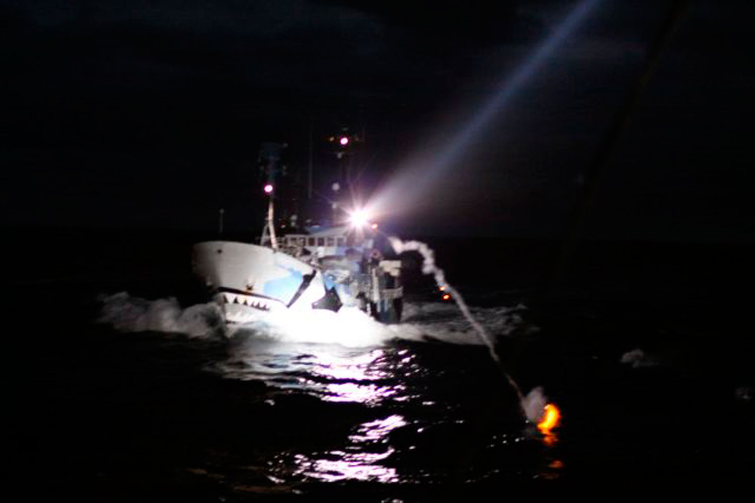 Sea Shepherd denuncia otro ataque de la flota ballenera japonesa