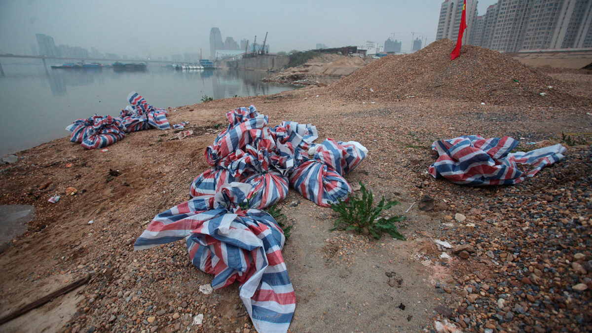 Encuentran muertos 157 cerdos en el río Gan