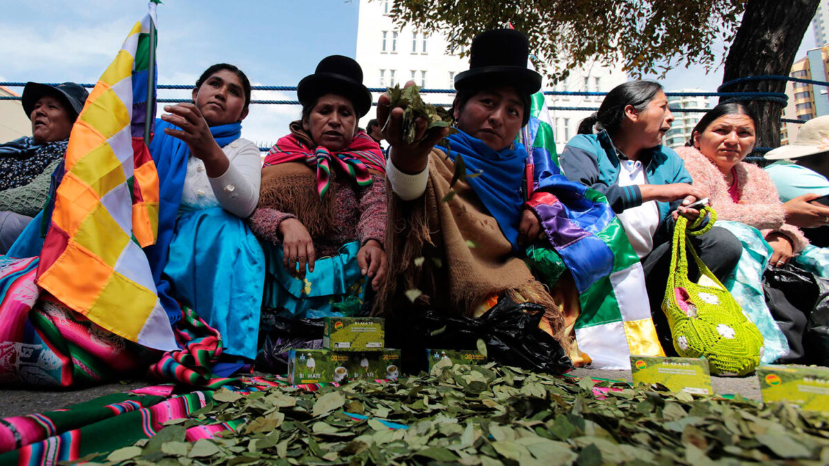 Campesinos exigen la despenalización de la hoja de coca