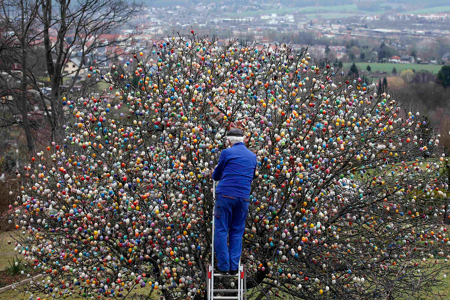 Volkder Kraft y su esposa, Christa, decoran un manzano con 10.000 huevos de Pascua pintados a mano