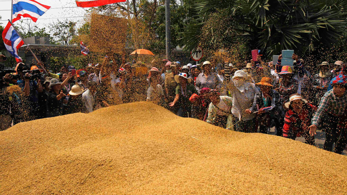 Los agricultores reclaman al gobierno el retraso en los pagos del plan de garantías del arroz