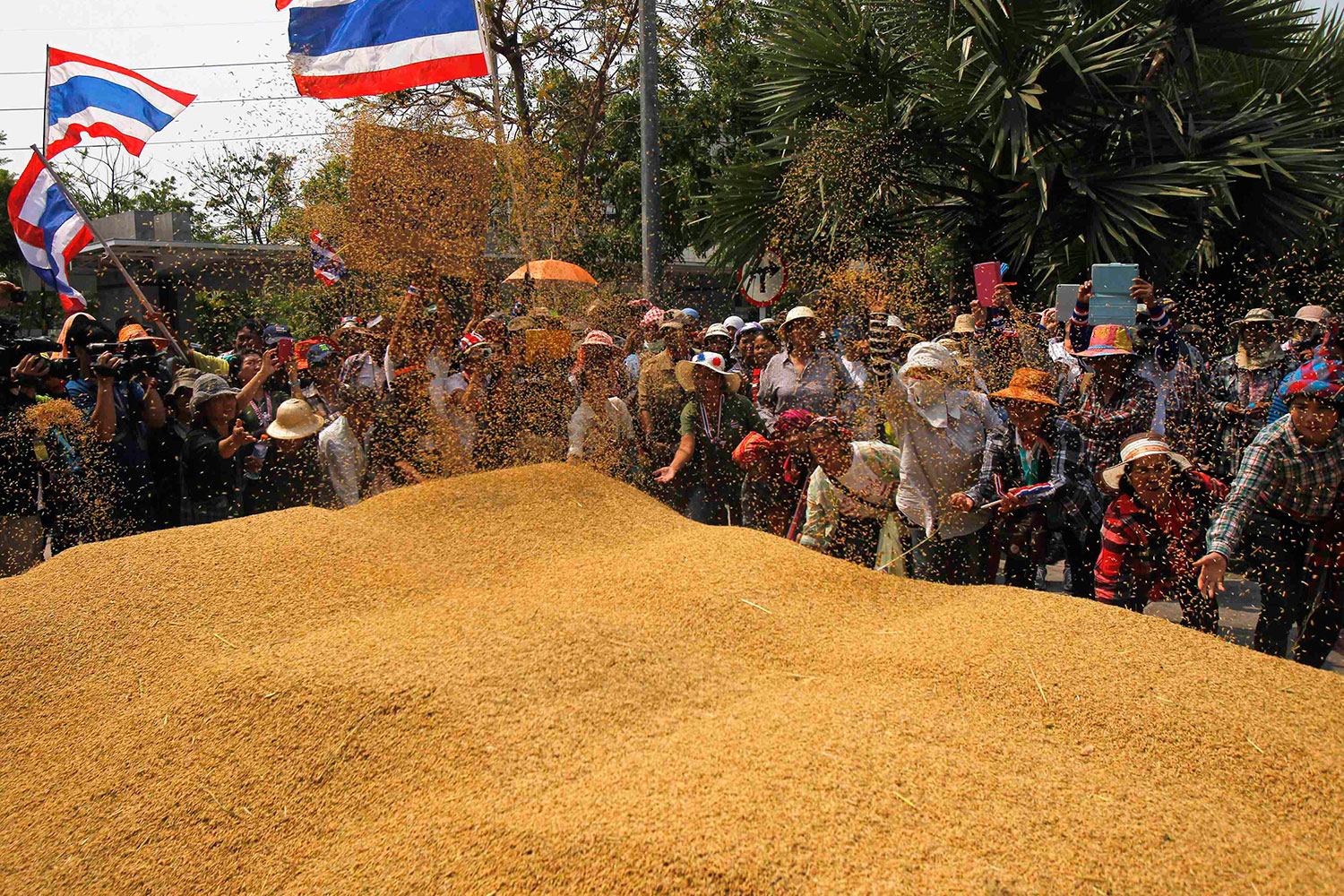 Los agricultores reclaman al gobierno el retraso en los pagos del plan de garantías del arroz