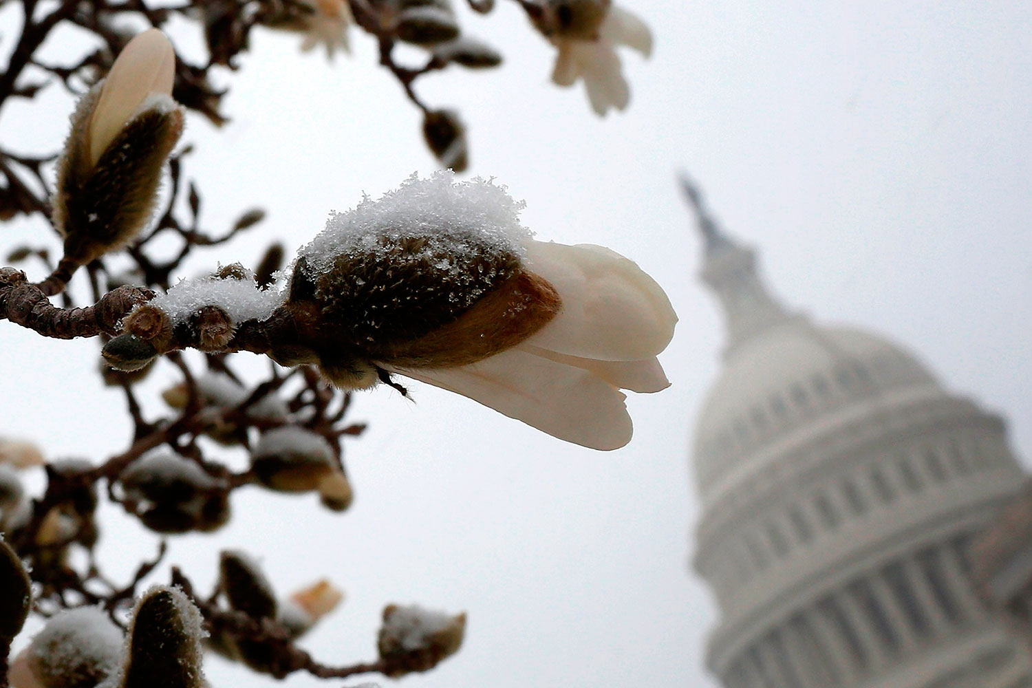 EE UU despide el invierno más caro de las últimas décadas por el temporal
