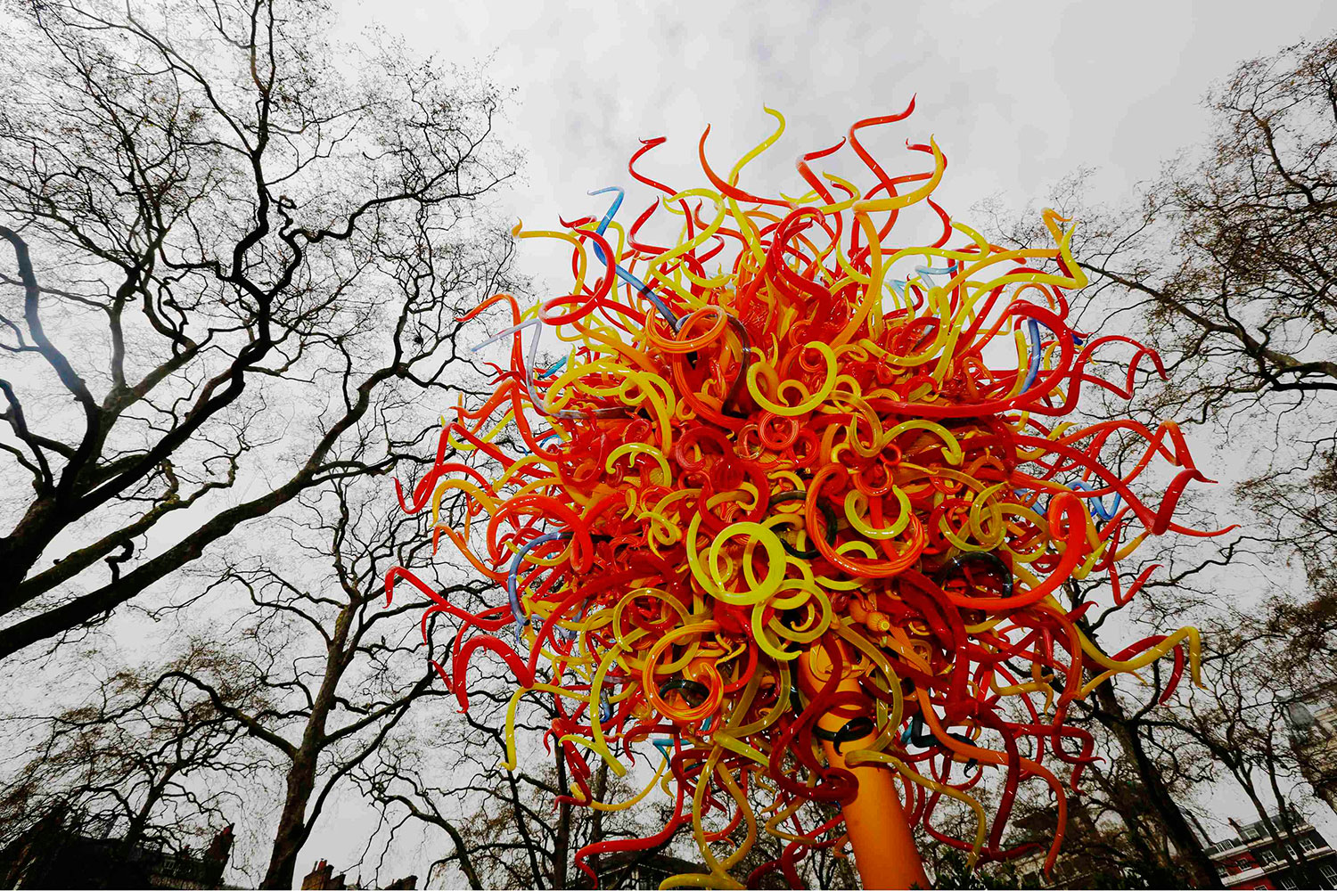 La escultura del artista Dale Chihuly, The Sun, se exhibe en la plaza Berkeley de Londres