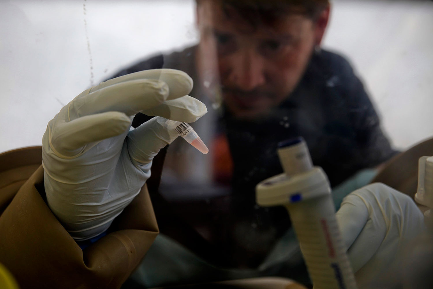 Siete personas sobreviven al mortal virus del ébola en Guinea