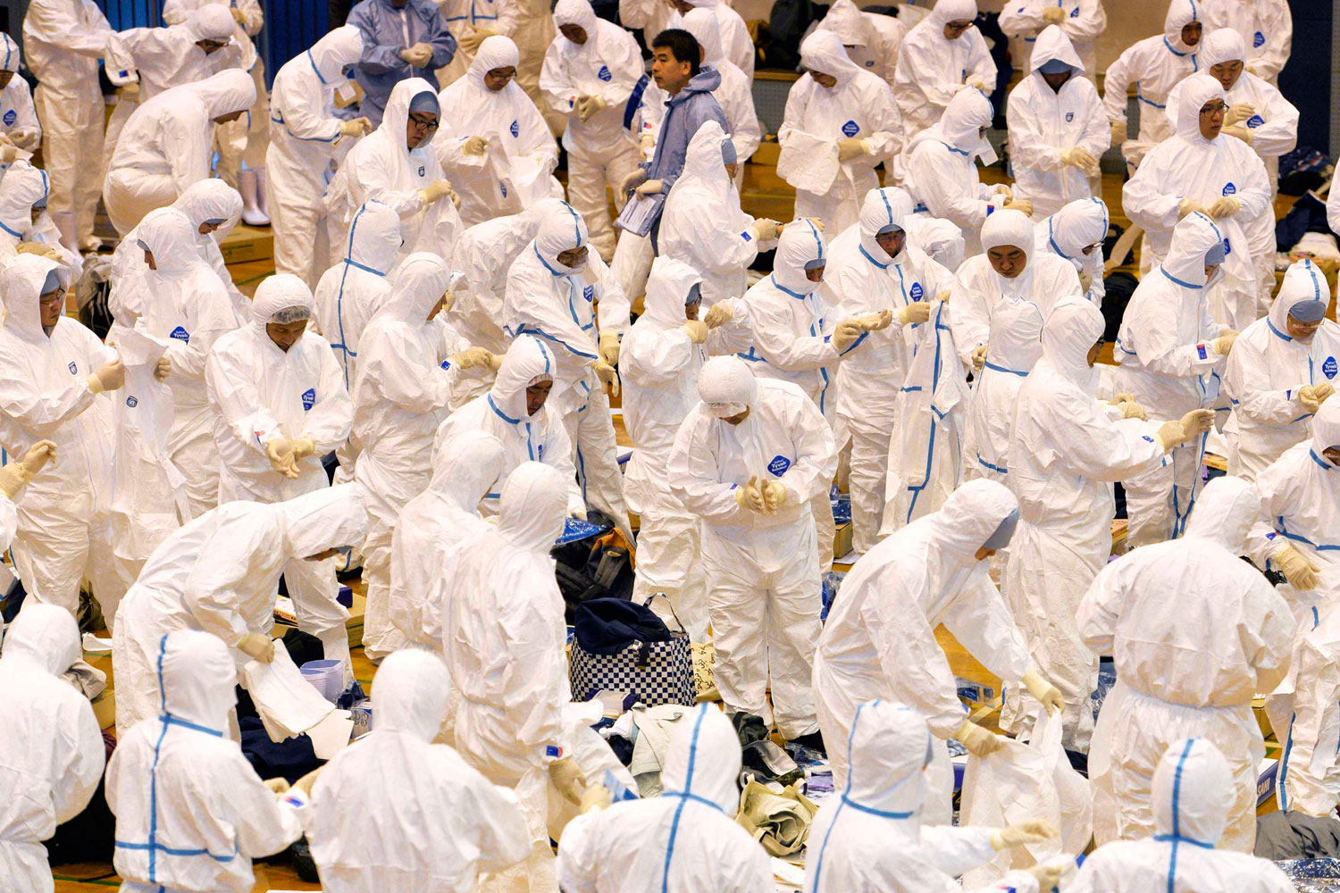 Japón ordena el sacrificio de 112.000 gallinas por gripe aviar