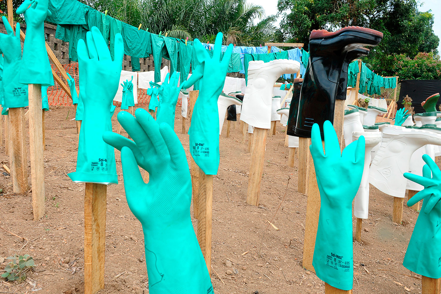 El brote de Ébola ya suma 84 víctimas mortales en Guinea