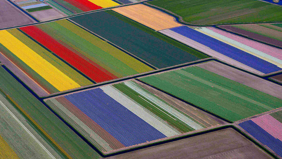 El Jardín de Europa el más grande del mundo