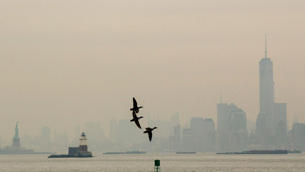 Nueva York amanece bajo la niebla y con un fuerte olor a humo.