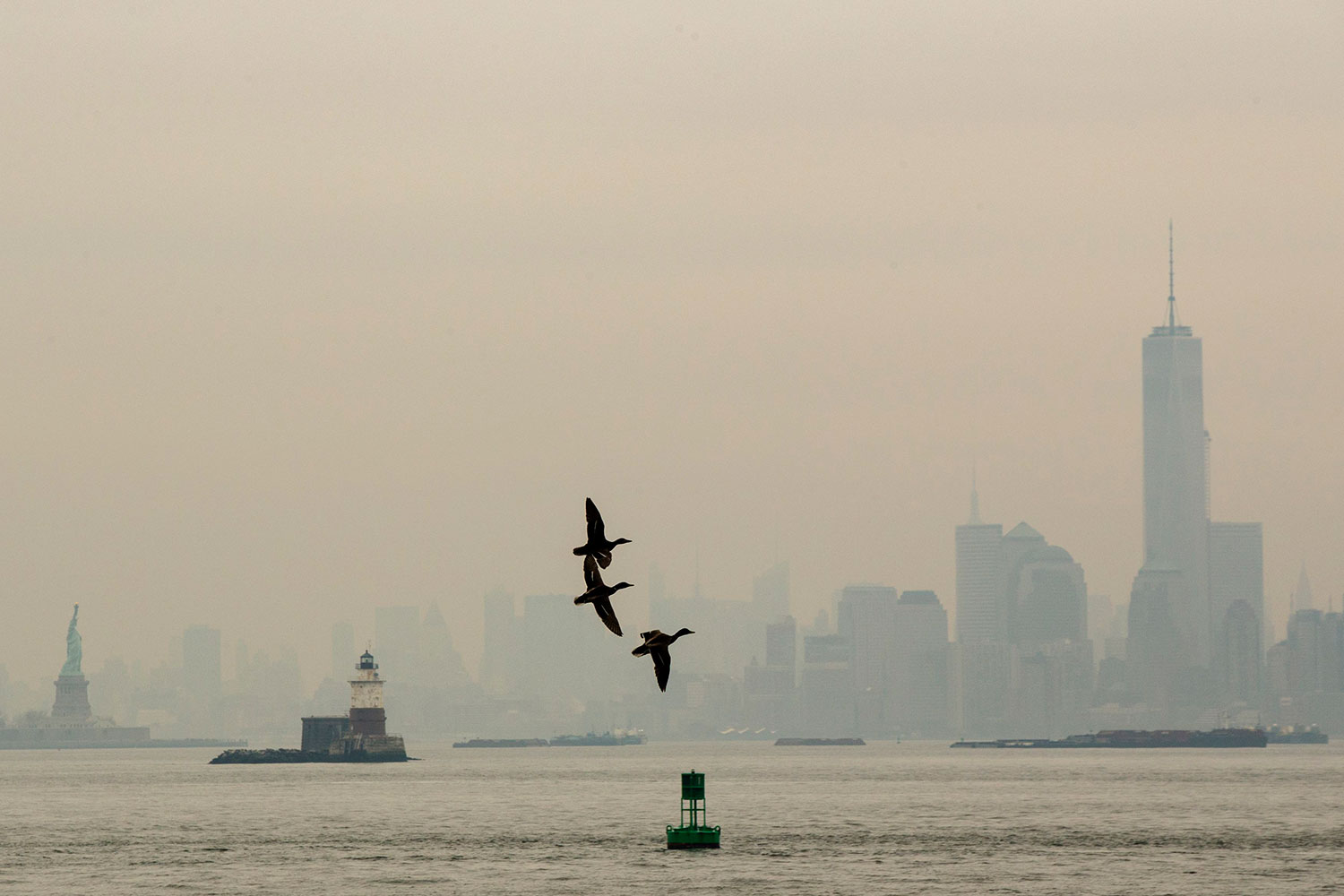 Nueva York amanece bajo la niebla y con un fuerte olor a humo.