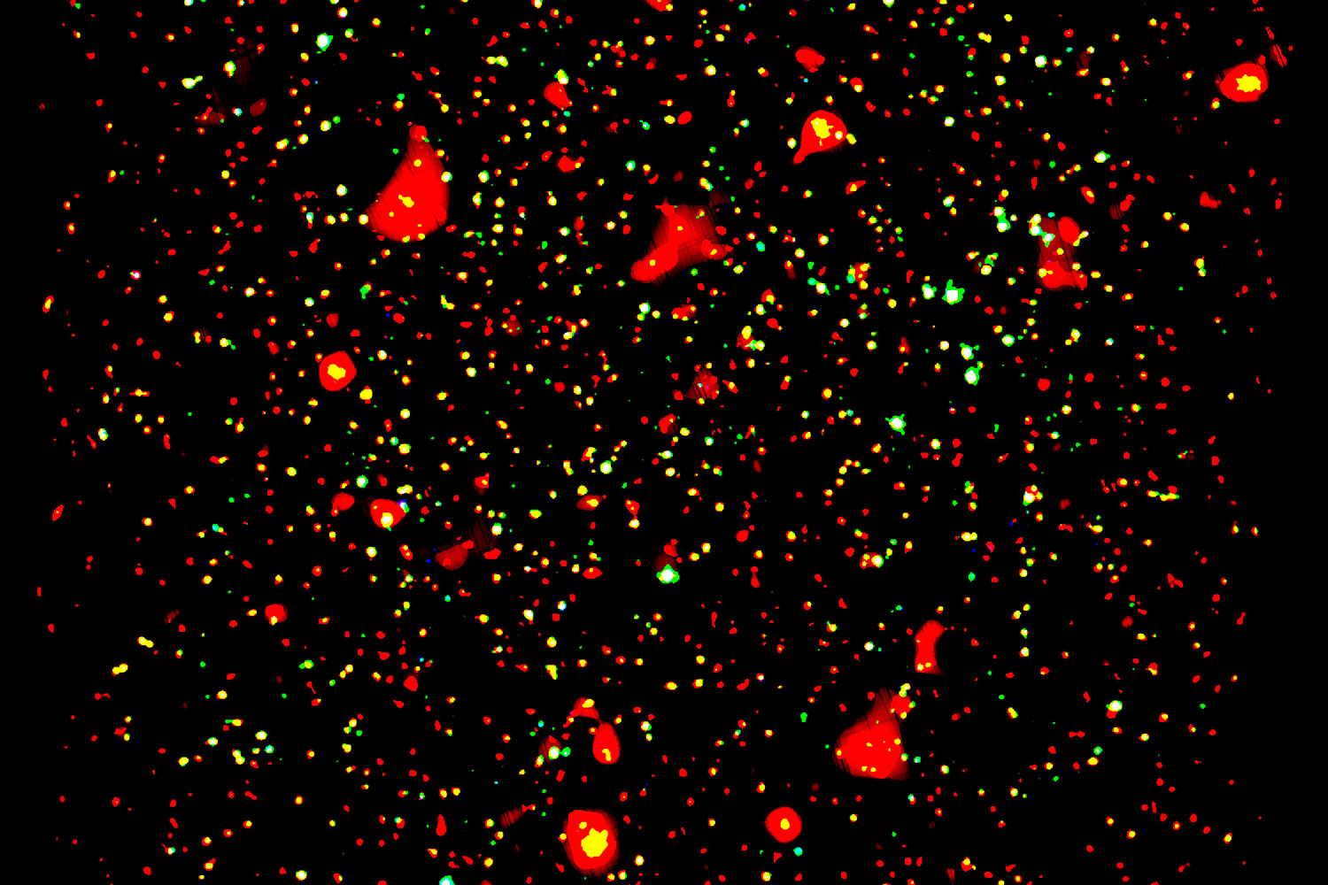 El telescopio XMM-Newton de la ESA capta imágenes de la formación de galaxias