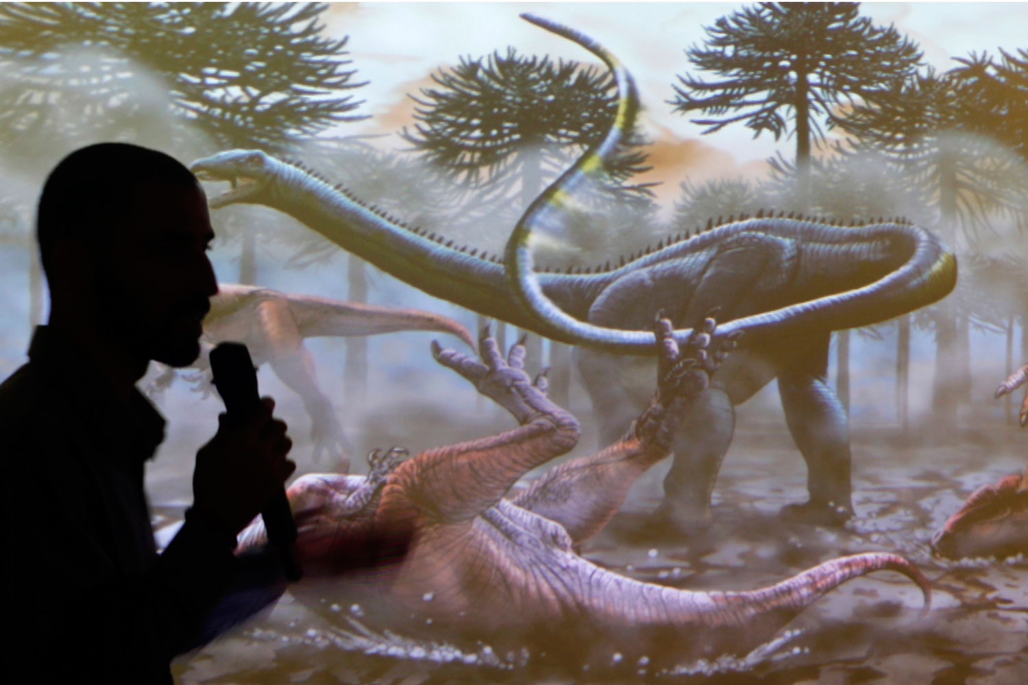 Hallan fósiles del primer ejemplar de dinosaurios herbívoros de cuello largo en Sudamérica
