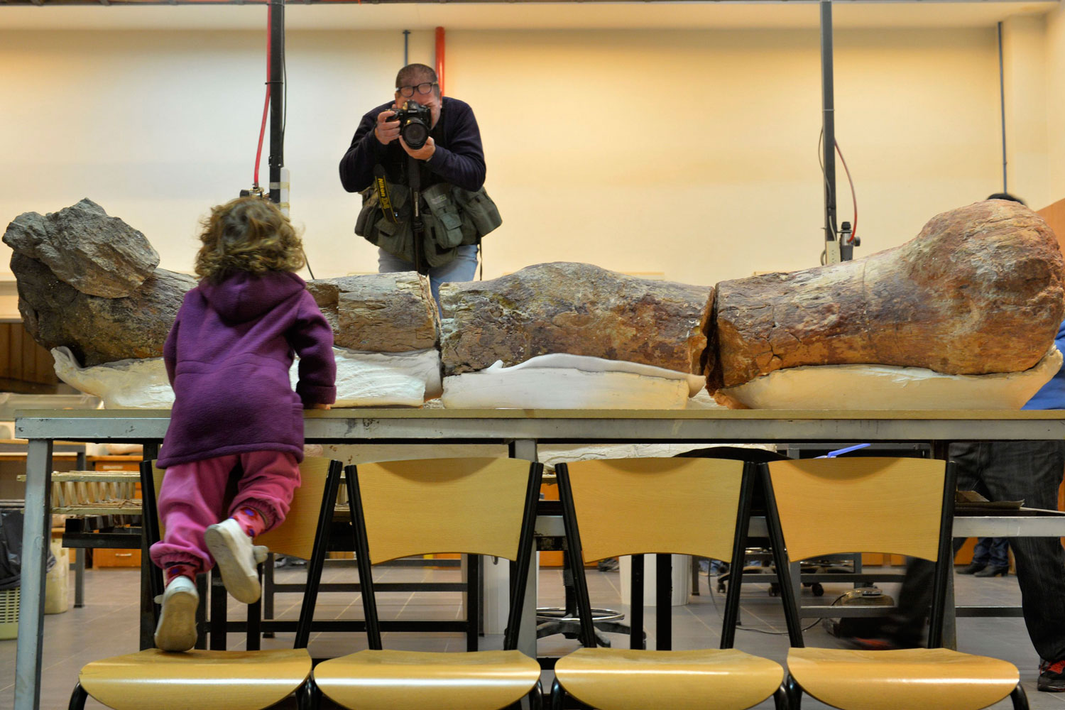 Hallan restos de la "criatura más grande que ha caminado sobre la Tierra": un titanosaurio.