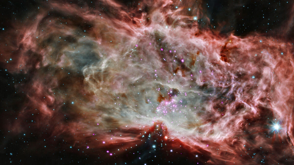 Gracias a los rayos X pueden estudiarse las estrellas que nacen dentro de la Nebulosa de la Llama