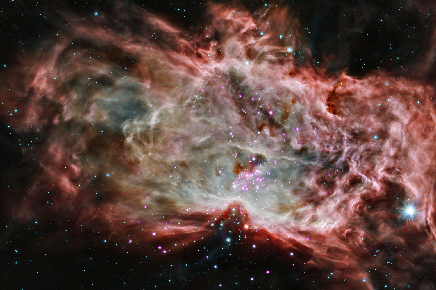Gracias a los rayos X pueden estudiarse las estrellas que nacen dentro de la Nebulosa de la Llama