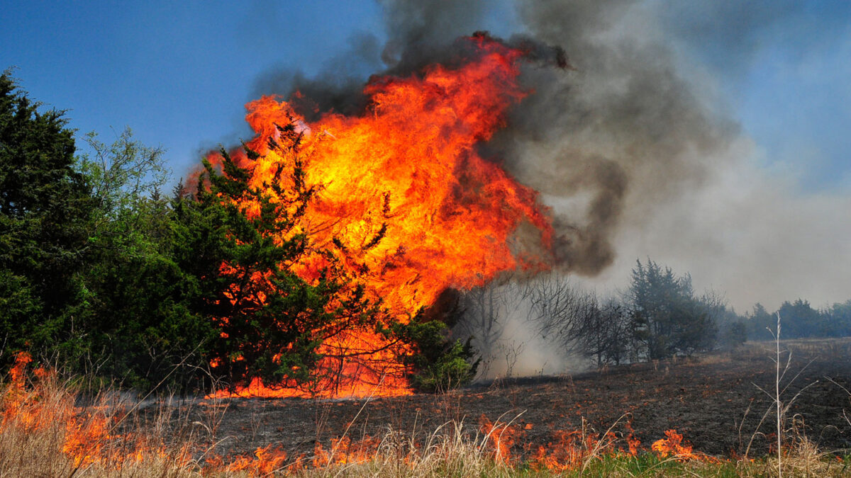 Un muerto y más de mil evacuados en un incendio forestal en Oklahoma