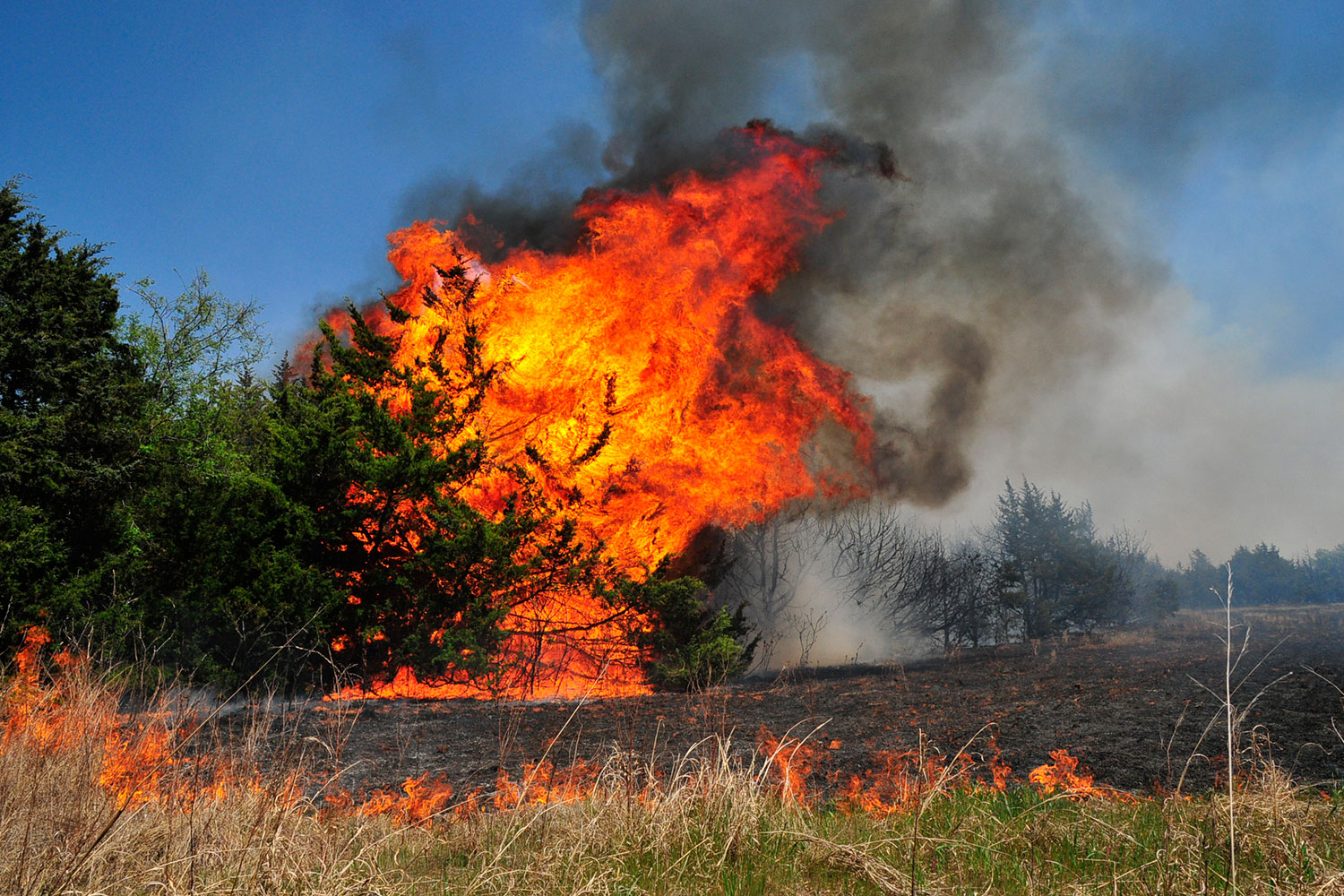 Un muerto y más de mil evacuados en un incendio forestal en Oklahoma